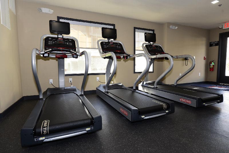 Hawthorne Square Gym photo showing three ellipticals. There are large windows to allow natural light to enter the room.