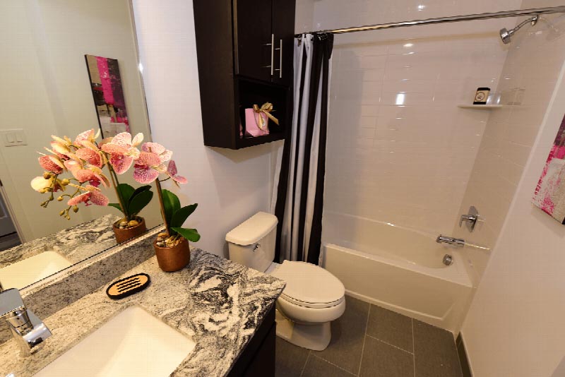 Sun Valley Plaza bathroom photo showing a bathtub with shower, a toilet with medicine cabinet above, a vanity with granite countertop and a mirror above.