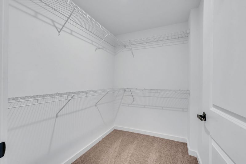 Interior photo of Amwell Terrace showing a large walk in closet with wall to wall carpeting and ample shleving