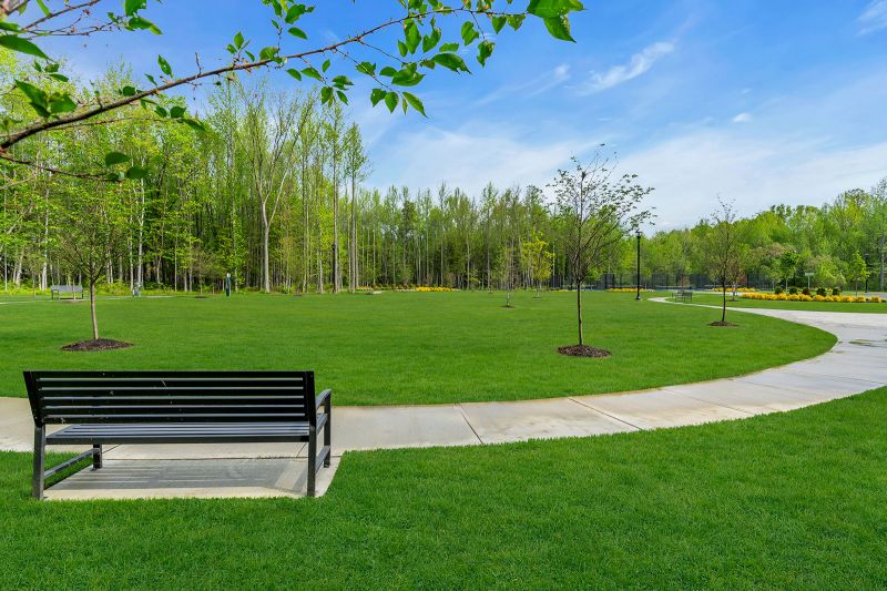 Exterior photo of the park at Enclave at Woodhaven showing a curved concrete walking path that runs through the community. A black metal bench faces a large open field dotted with young trees, each planted in a small circular bed of mulch. Multiple modern black lampposts can be seen in the background.