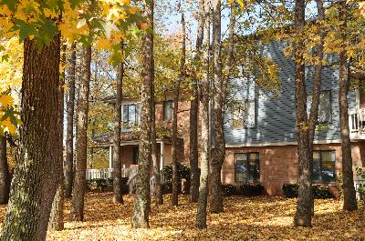Peach Street Exterior photo showing a brick and vinyl exterior and an apartment entrance. Several bushes and trees highlight the landscape.