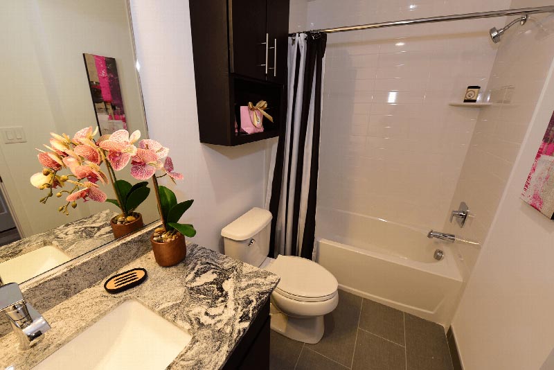 Sun Valley Plaza bathroom photo showing a bathtub with shower, a toilet with medicine cabinet above, a vanity with granite countertop and a mirror above.