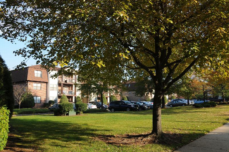 Green Plaza exterior photo shows a story apartment building with brick, cream siding and balconies on all three floors. Green grass, bushes and trees landscape the area.