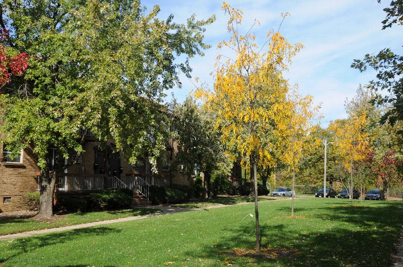 Florida Grove Manor exterior shows a grassy area with several trees shading the front of an apartment building.