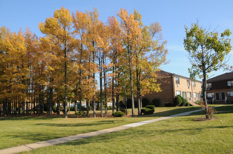 North Brunswick Manor Grounds photo showing several bushes and trees that highlight the landscape. Apartment buildings can be seen in the background.