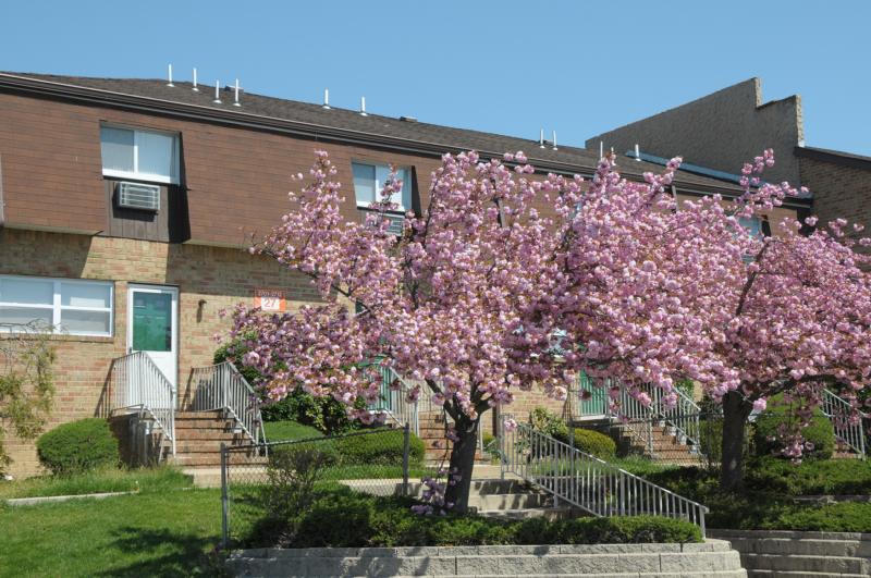 North Brunswick Manor Exterior photo showing a brick exterior and several apartment entrances. Several bushes highlight the landscape.