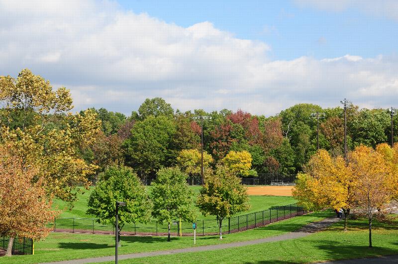 William Warren Park located near Convery Gardens photo of a oath with the baseball field in the distance. Many trees surround the area.