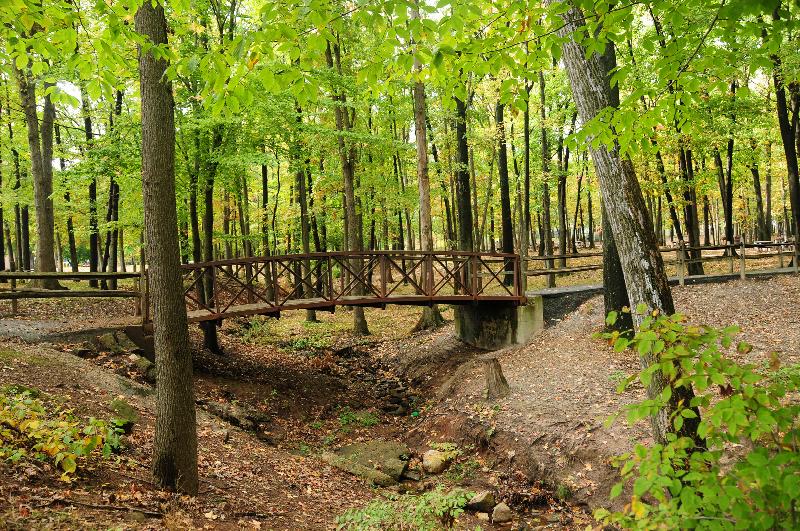 William Warren Park located near Convery Gardens photo of a foot bridge leading over a small creek along a walking path in the park