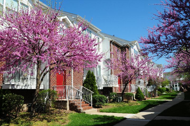 Exterior photo of an apartment building at Harbortown Ports made of red brick and white vinyl siding. Several entry staircases can be seen leading up to red front entry doors. Green grass, bushes and flowering trees landscape the area.