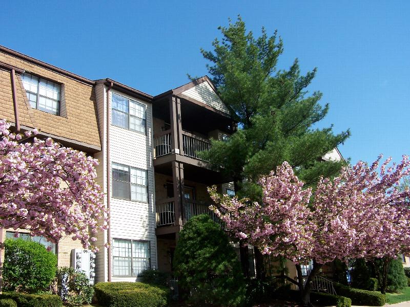Woodbridge Center Plaza Woodbridge NJ Apartments for Rent