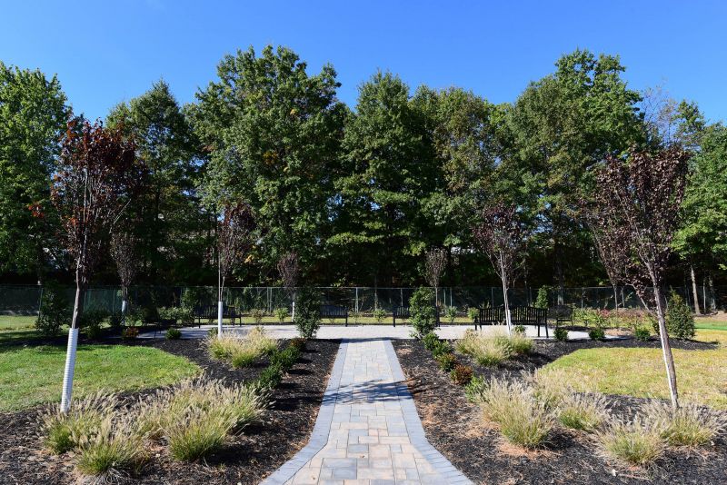 Woodbridge Center Plaza community outdoor paver patio with bench seating. Newly planted trees surround the area.