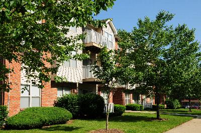 Forest View apartments image shows a three story apartment building with an exterior showing both brick and vinyl siding and balconies on all three floors. Green grass, bushes and trees landscape the area.