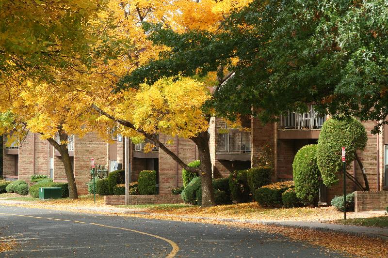 Gill Lane exterior photo of a winding road leading through the community among many beautiful large trees in the fall.