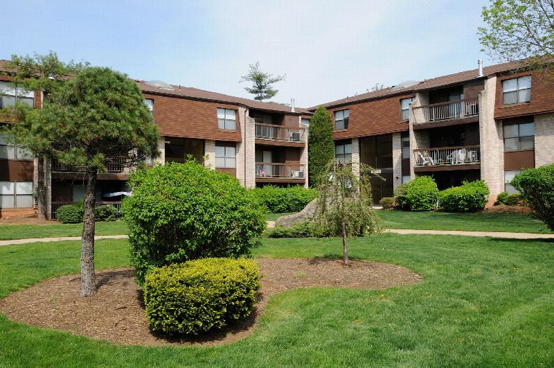 Gill Lane exterior image shows a grassy area with several bushes and trees landscaping the area. Several apartment buildings are in the distance.