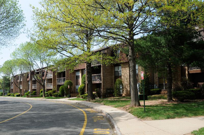 Gill Lane exterior photo of a winding road leading through the community among many beautiful large trees.