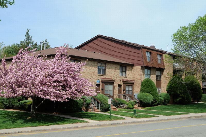 Gill Lane exterior photo of an apartment building with several stairways leading to front doors. A large blossoming pink tree sits at one end of the building. Green grass, bushes and trees line the front of the building leading to the sidewalk.