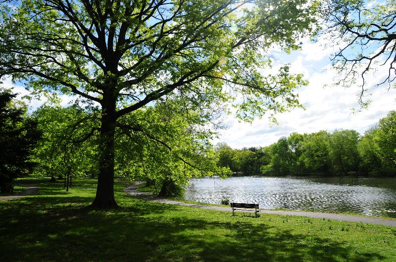 Photo of a local park near Park Terrace showing a lake, a walking path, a park bench. There are many large trees offering shade and a large grassy area.