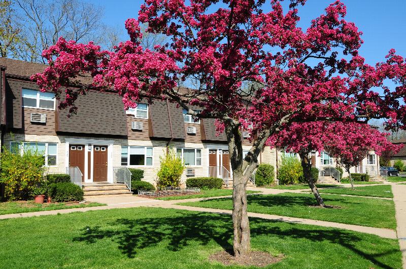 Woodbridge Village exterior photo shows a brick apartment building with brown front doors and white trim. Green bushes line the front of the building and flowering pink and red trees are in the foreground.