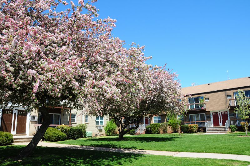Woodbridge Village exterior photo shows two large pink flowering trees standing in a lush green lawn in front of a brick apartment building.