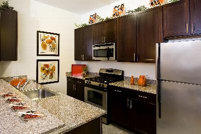 Helix at Xchange Affordable interior photo of kitchen shows expresso cabinets, stainless steel appliances, granite counter tops and ceramic tiled flooring. There are a few decorative pieces located on the granite counter top.