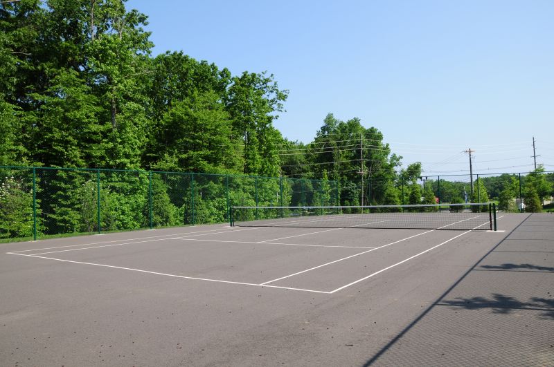 Princeton Terrace tennis courts photo showing a full sized tennis court surrounded by a fence. Several trees highlight the landscape.