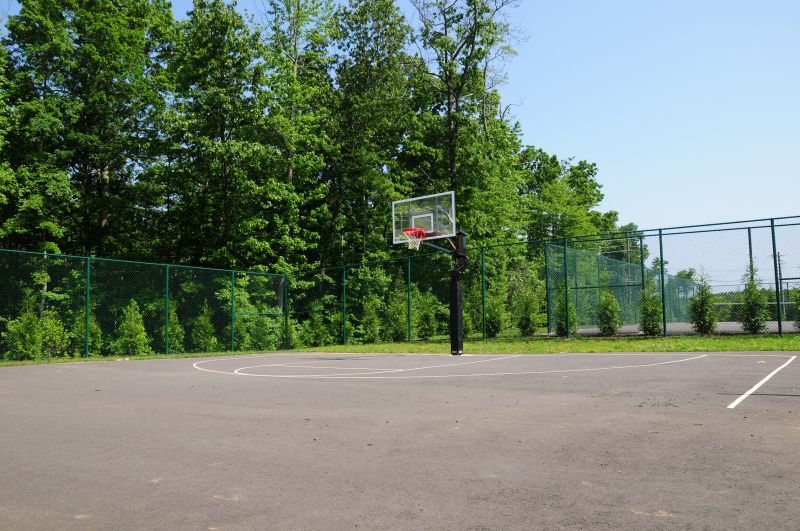 Princeton Terrace basketball court photo showing a basketball net surrounded by a fence. The tennis court can be seen in the background. Several trees highlight the landscape.