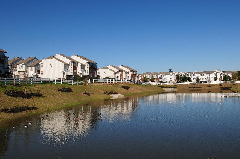 Photo of lake on Harbortown property with geese swimming in it. Apartment buildings can be seen in the distance.