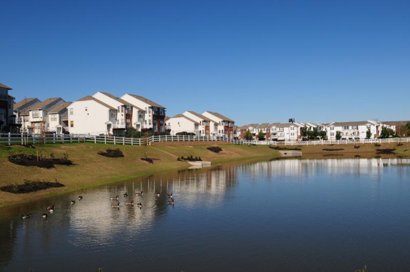 Photo of lake on Harbortown property with geese swimming in it. Apartment buildings can be seen in the distance.