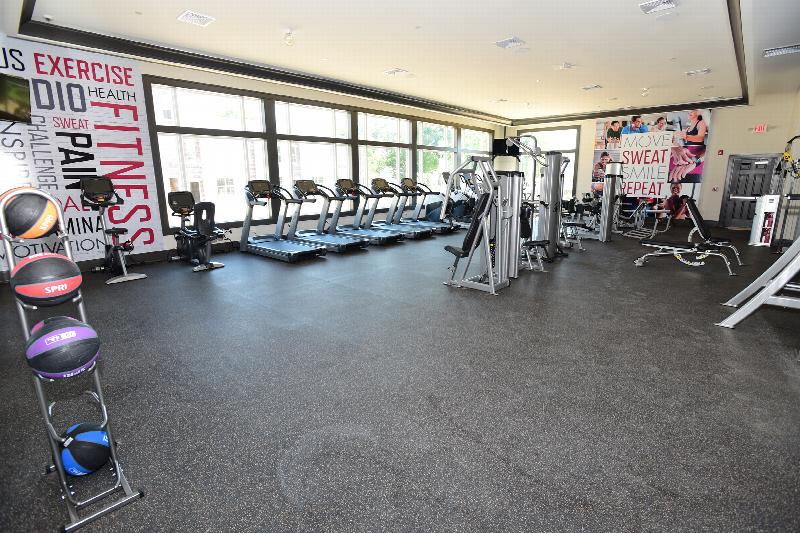 Station Village Affordable Gym photo showing five elliptical, five treadmills, two exercise bikes and various exercise equipment. There are large windows that allow natural light to enter the room.